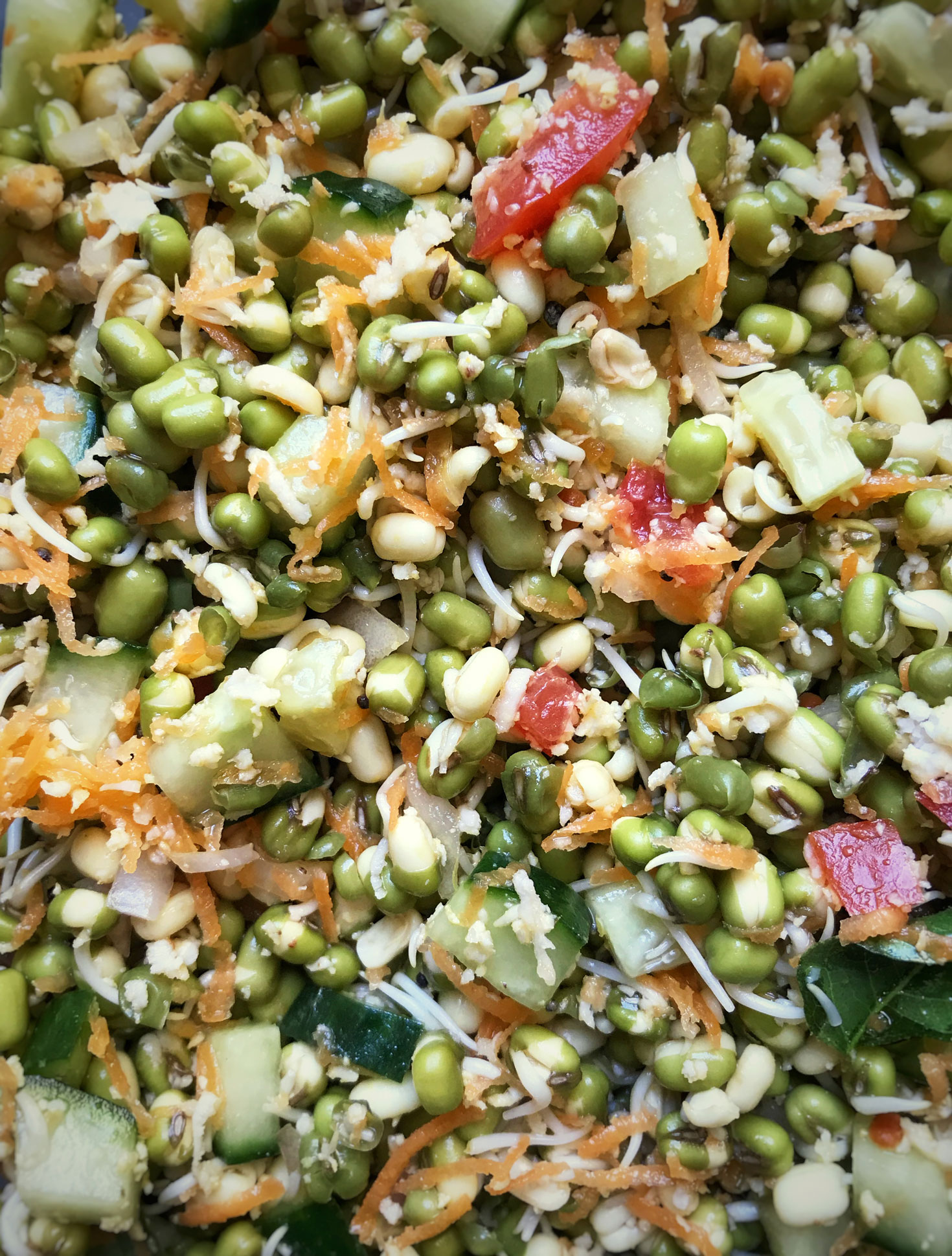 sprouts salad